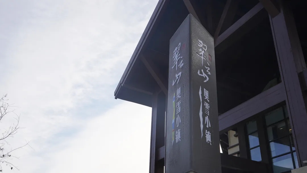 冠珠瓷砖 大理石瓷砖