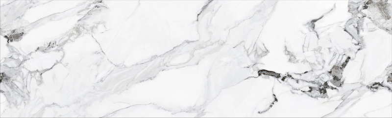 06插图六.jpg 06插图六.jpg